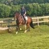 eventhorse